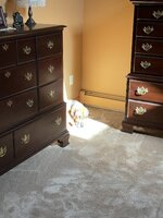 IMG_6708.jpeg IMG_6708.jpeg