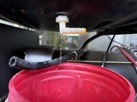 IMG_8663.jpeg