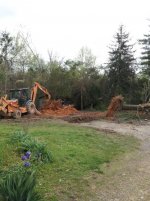 Resize 2012-03-21_15.32.33.jpg