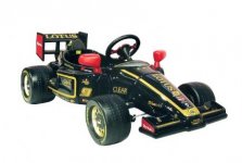 lotus-formula-1-2013--233-p[ekm]433x292[ekm].jpg