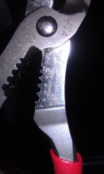 IMAG0170.jpg