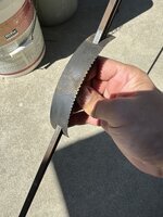 IMG_1981.jpeg
