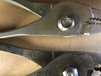 IMG_3815.jpeg