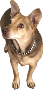 1712237187040.png 1712237187040.png