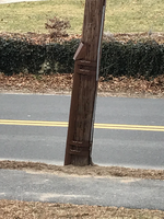 1712249641423.png