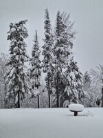 20240405_062413.jpg