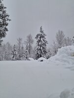 20240405_062316.jpg