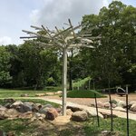 tree19.JPG