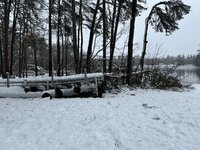 IMG_0360.jpeg IMG_0360.jpeg
