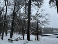IMG_0370.jpeg IMG_0370.jpeg