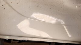IMG_20240406_145734432.jpg