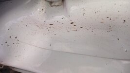 IMG_20240406_145744707.jpg
