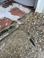 IMG_0498.jpeg