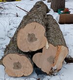 IMG_20240406_120634220~2.jpg