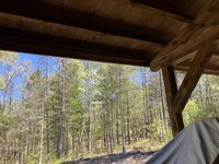 IMG_2561.jpg