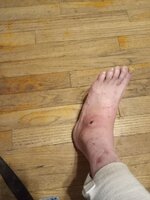 20240319_074331.jpg 20240319_074331.jpg