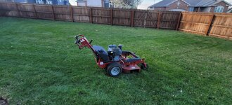 yard.jpg