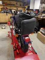IMG_3354.jpeg