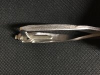 IMG_4165.jpeg