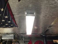 IMG_6445.jpg