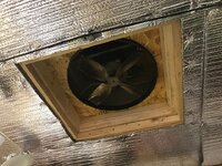 IMG_5196.jpg