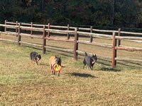 IMG_3780.jpg IMG_3780.jpg