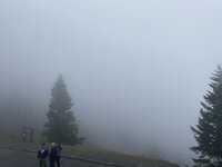 53658146524_b6266fb575_b.jpg