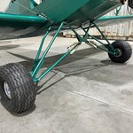 IMG_8611.jpeg