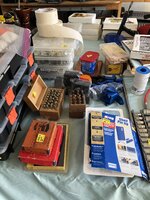 IMG_2381.jpeg