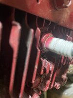 IMG_2541.jpeg