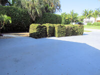 2024-4-19 Sod Delivery 2.jpg