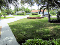 2024-4-23 Sod Installed.jpg