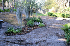 2013-01-25 Sod.jpg
