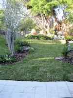 2013-2-7 Sod.jpg