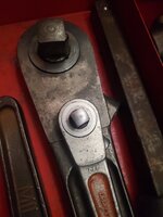 20240425_061938.jpg