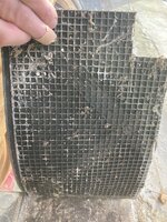 IMG_4402.jpeg