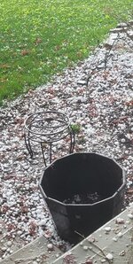 storm 2.jpg