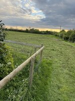 IMG_3315.jpeg IMG_3315.jpeg