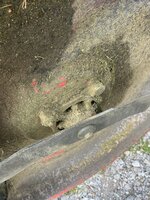 IMG_3904.jpeg