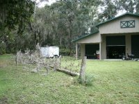 2156-Tree-In-Driveway-05.JPG