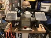 IMG_1384.jpeg