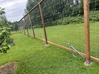 IMG_3310.jpeg
