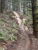 IMG_3173.jpeg