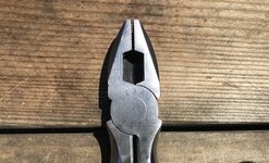 IMG_4556.jpeg