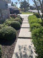 IMG_3204.jpeg IMG_3204.jpeg