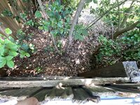 IMG_3088.jpeg