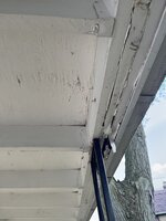 IMG_8428.jpeg IMG_8428.jpeg
