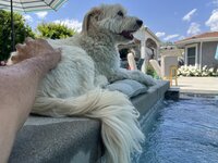 IMG_3224.jpeg