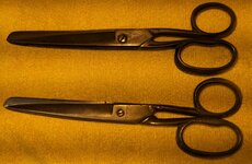 scissors pairs.jpg