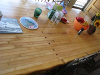 IMG_3515n.jpg